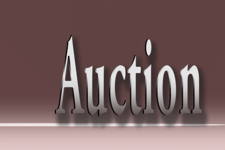 auctions
